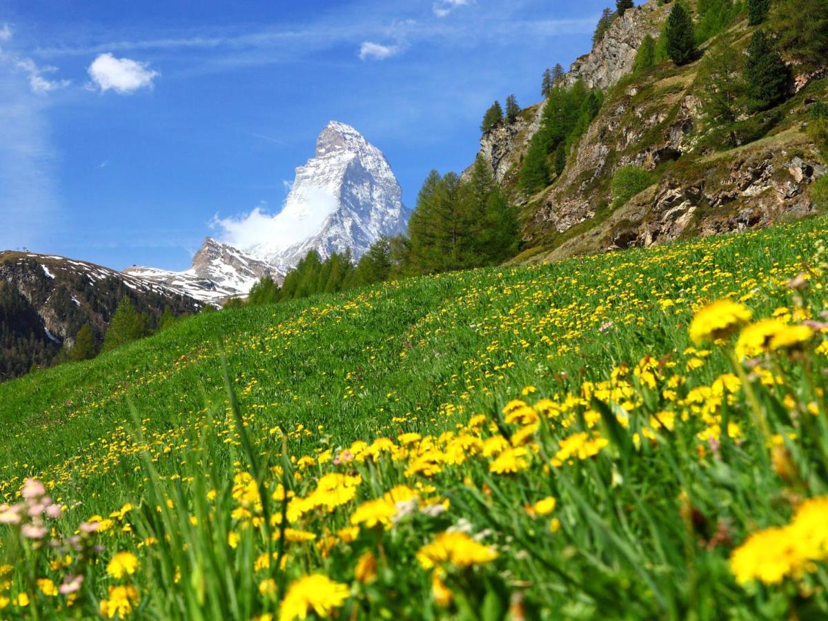 Apartment Apollo By Interhome Zermatt Ngoại thất bức ảnh